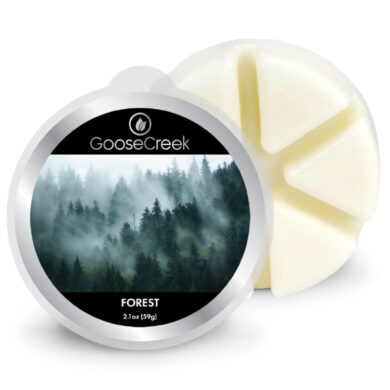 Vosk FOREST, 59g , do aroma lampy  (ZGC-EW784)