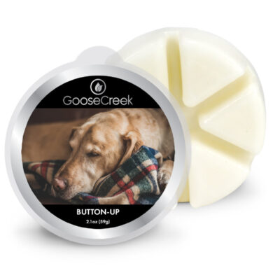 Vosk BUTTON UP, 59g , do aroma lampy  (ZGC-EW962)