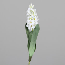 Květina Hyacint, bílá|krémová, 40cm - Vtejte v i krsnch kvtin a rostlin, kter nikdy neuvadnou! Jsou ideln volbou pro lidi skomplikovanm vztahem s ivou vegetac. Uijte si krsu bez starost!