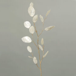 Dekorace Lunaria, bílá, 86cm - Vtejte v i krsnch kvtin a rostlin, kter nikdy neuvadnou! Jsou ideln volbou pro lidi skomplikovanm vztahem s ivou vegetac. Uijte si krsu bez starost!